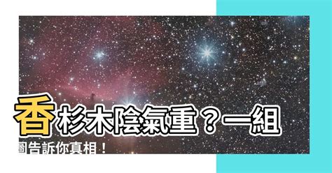 香杉木陰氣|【香杉木陰氣】香杉木陰氣重？一組圖告訴你真相！ – 每日新聞。